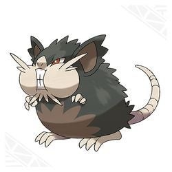 Alolan Raticate dạng Alola mập mạp hệ Bóng tối Thường trong Pokemon Go
