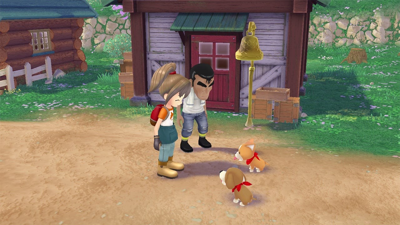 Ảnh chụp từ trò chơi Story of Seasons: A Wonderful Life, một nông dân với hai chú chó con