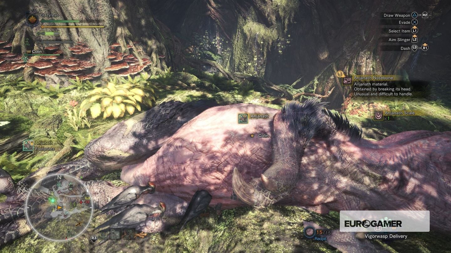 Anjanath yếu đi chuẩn bị bị hạ gục trong Monster Hunter World