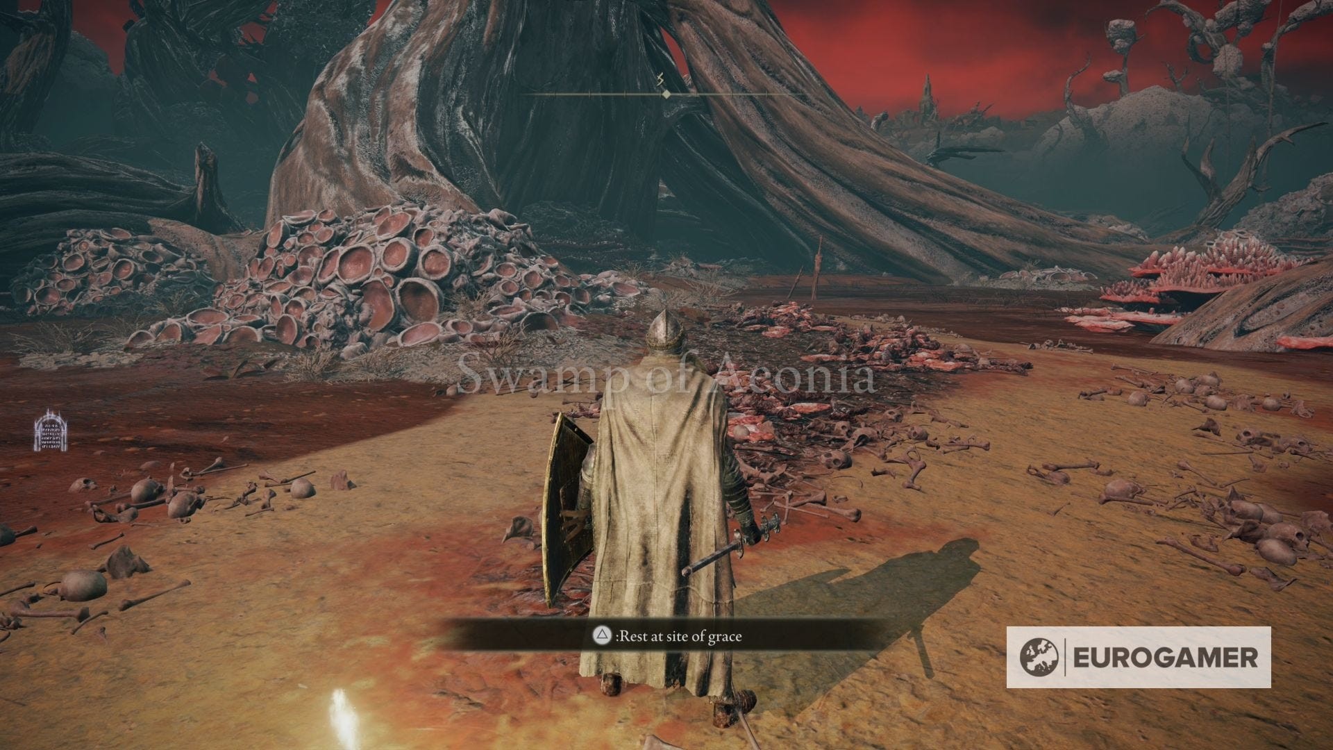 Bản đồ vị trí farm Hiệp sĩ Cleanrot tại Swamp of Aeonia, Caelid