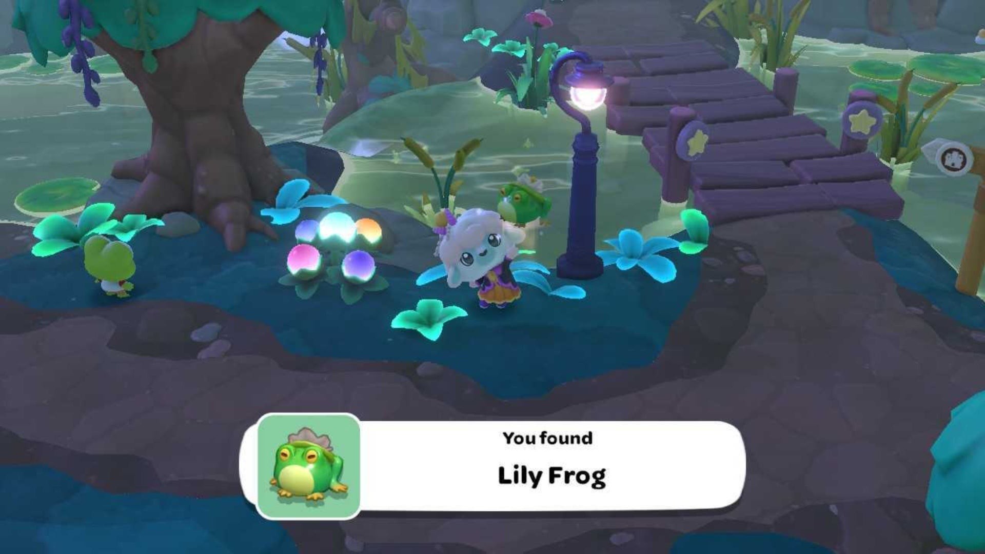Bắt Ếch Lily trong Hello Kitty Island Adventure