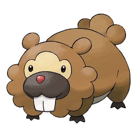 Bidoof - Pokémon biểu tượng vùng Sinnoh trong Pokémon Go