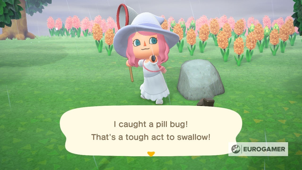 Bọ Pill Bug chuẩn bị rời đảo trong Animal Crossing vào cuối tháng 6