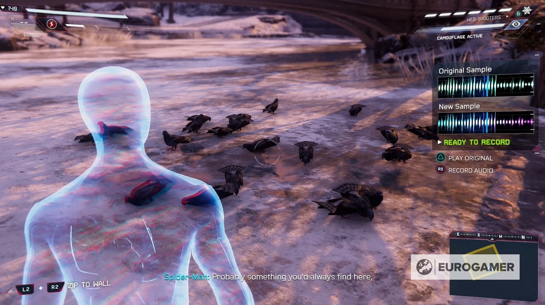 Ghi âm tiếng chim bồ câu