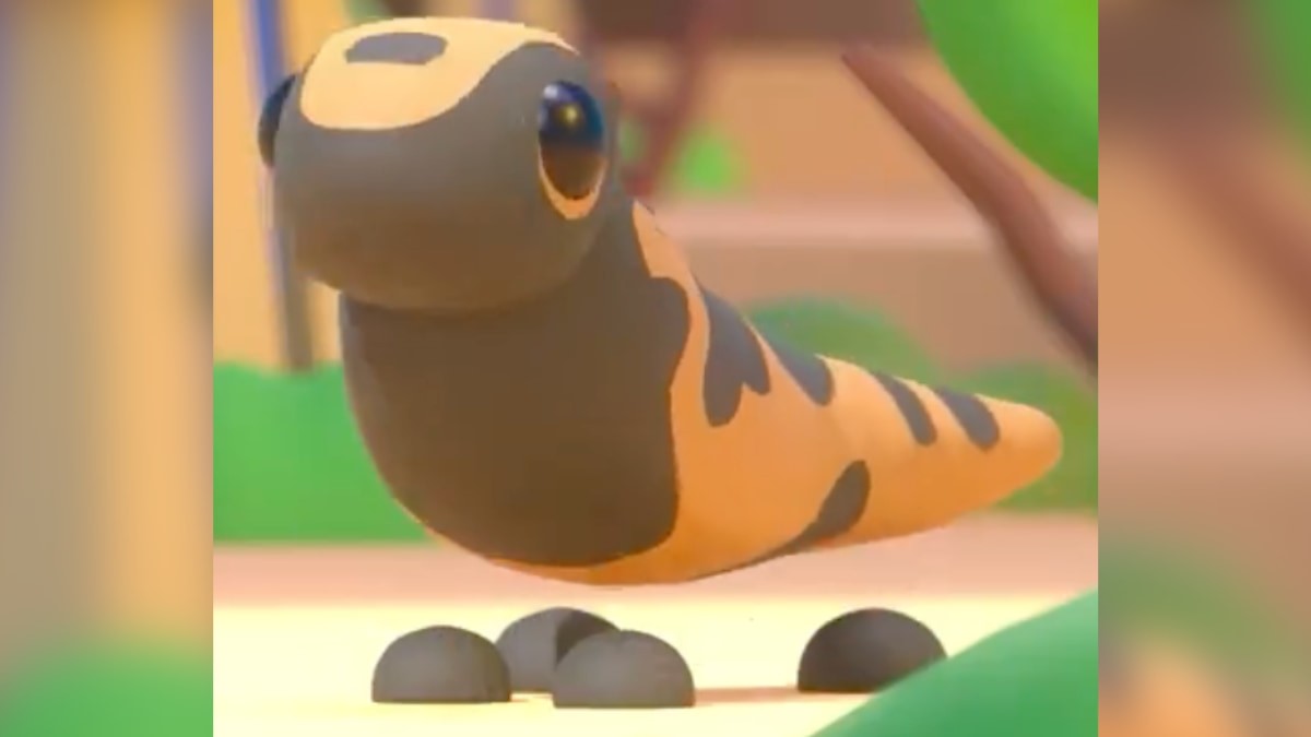 Gila Monster - Thú cưng không phổ biến có vẻ ngoài đặc biệt từ Trứng Sa Mạc