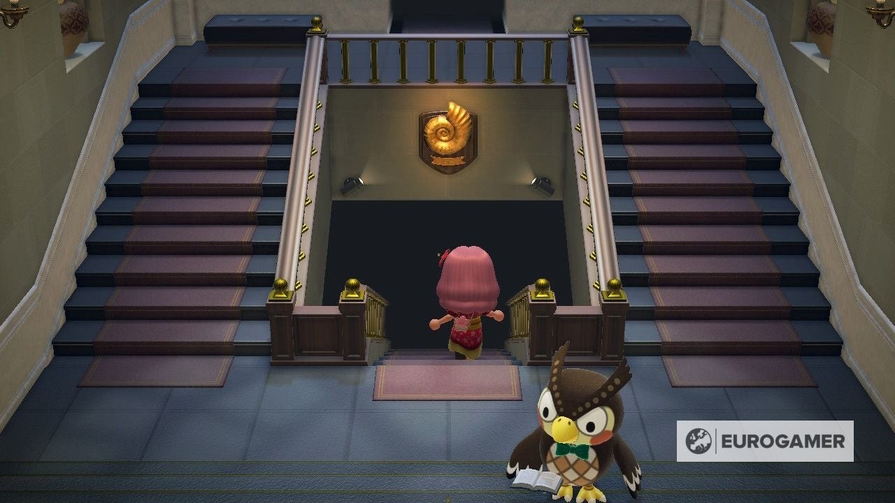 Góc nhìn toàn cảnh khu trưng bày hóa thạch rộng lớn và ấn tượng trong Bảo tàng Animal Crossing