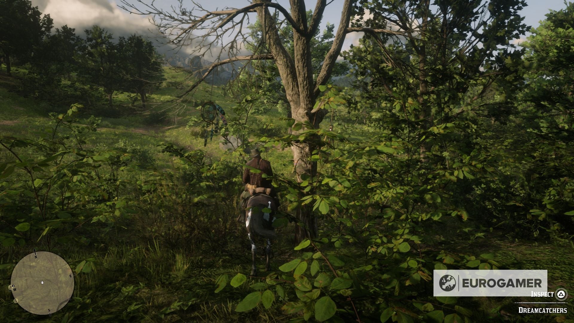 Hình ảnh Dreamcatcher 10 ẩn trong bụi rậm gần Lonnie's Shack - RDR2
