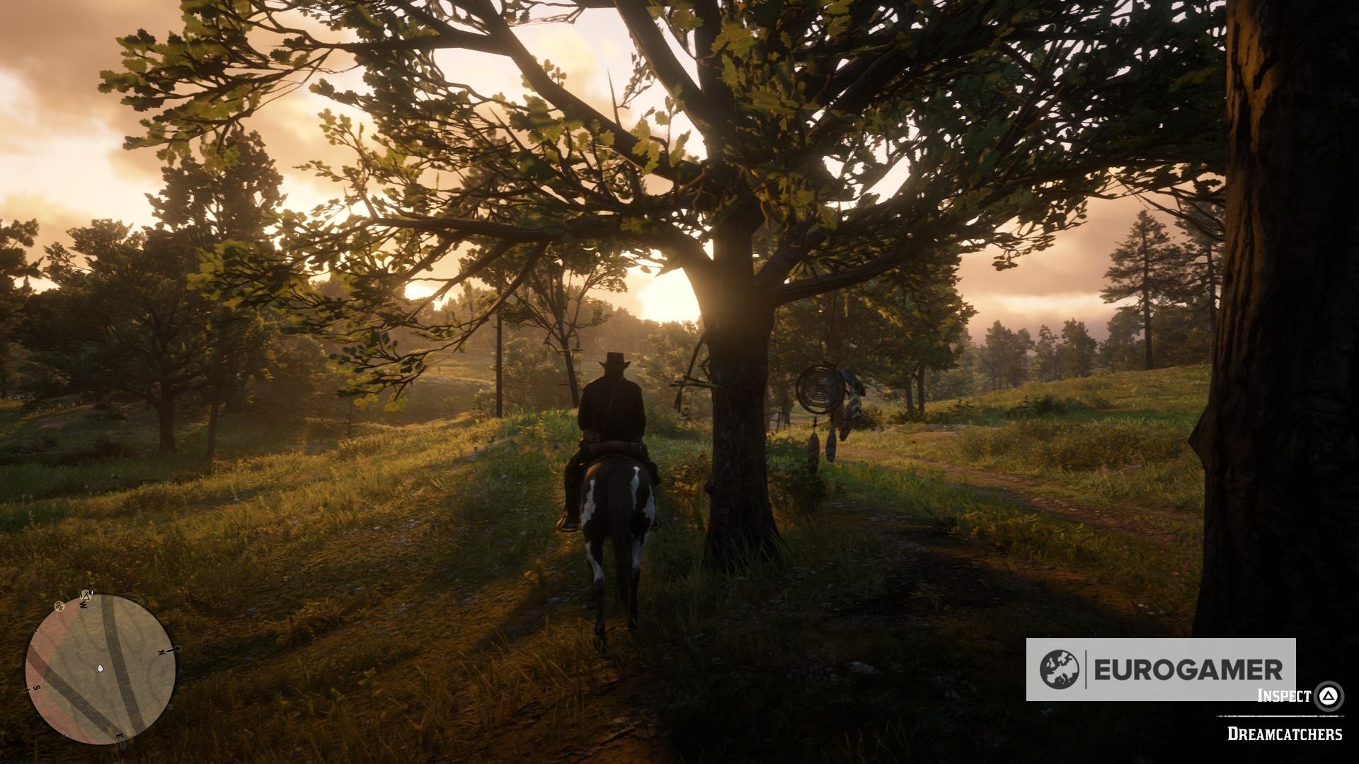 Hình ảnh Dreamcatcher 11 treo trên cây gần Bluewater Marsh - RDR2
