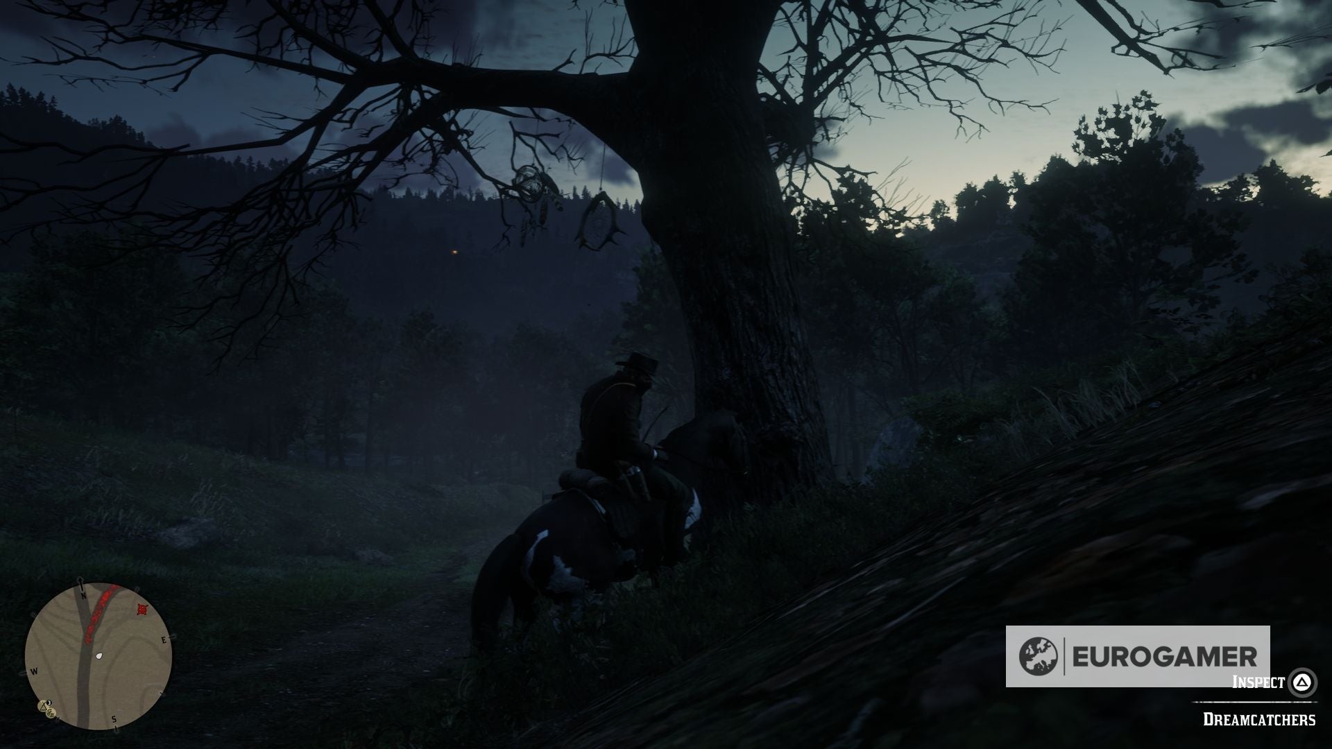 Hình ảnh Dreamcatcher 15 trên cây đơn độc gần Annesburg - RDR2