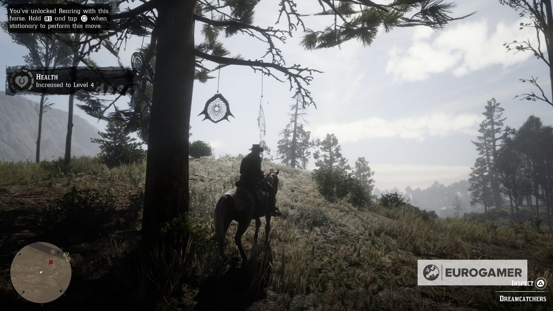 Hình ảnh Dreamcatcher 18 trên sườn núi gần cầu Bacchus - RDR2