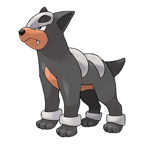 Hình ảnh Houndour trong Pokémon Go