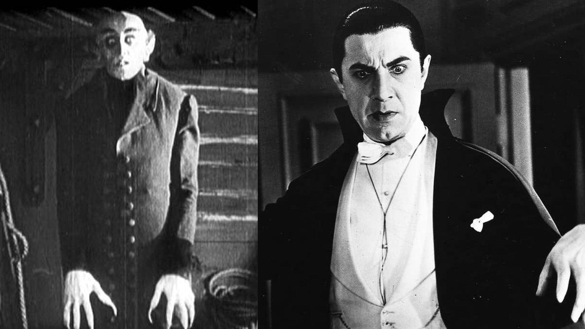 Hình ảnh minh họa về Nosferatu