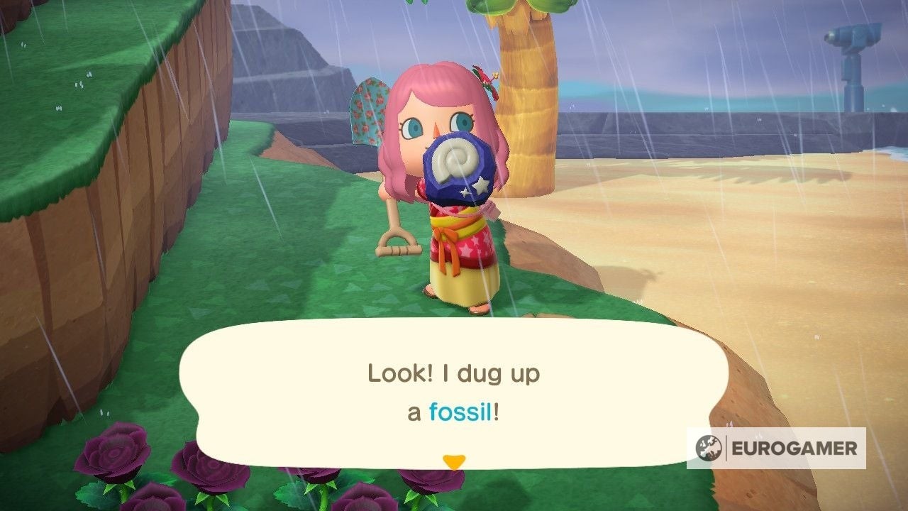 Hình ảnh một hóa thạch chưa được giám định vừa được đào lên trong Animal Crossing New Horizons
