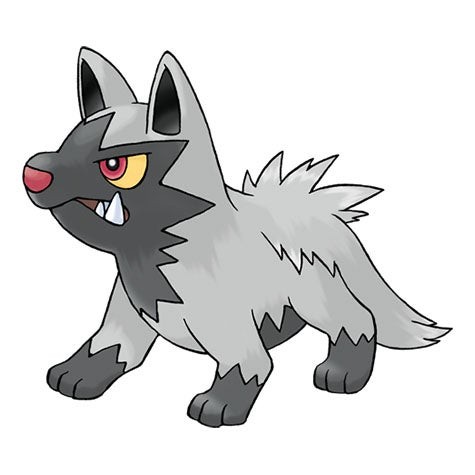 Hình ảnh Poochyena trong Pokémon Go