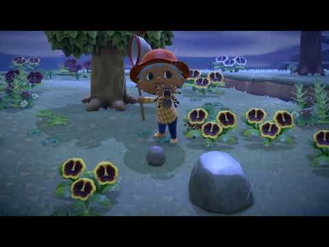 Khám phá Đảo Nhện Tarantula trong Animal Crossing New Horizons