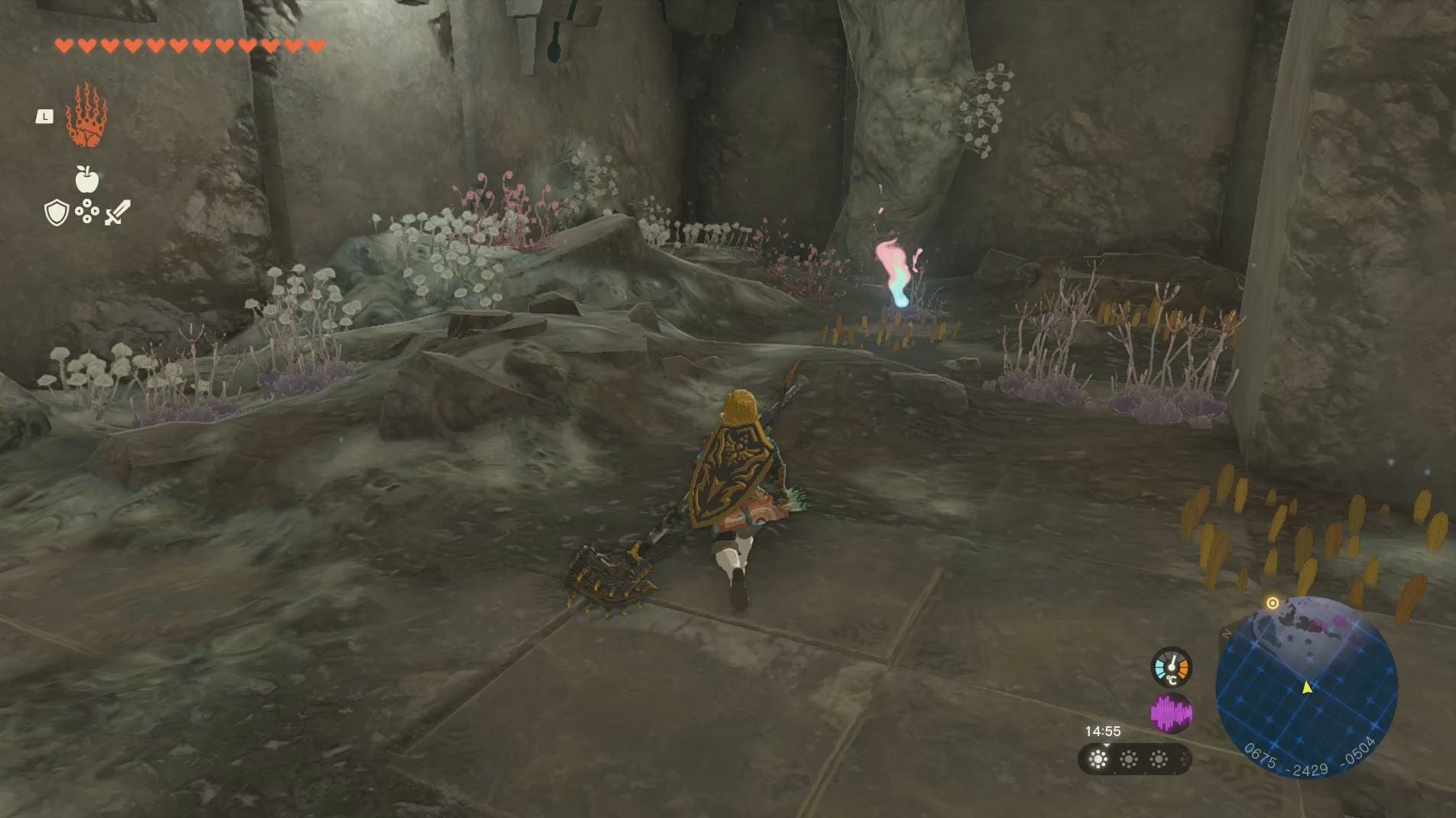 Link tiếp cận một Grand Poe trong Kho Tàng Tay Trái của The Legend of Zelda: Tears of the Kingdom