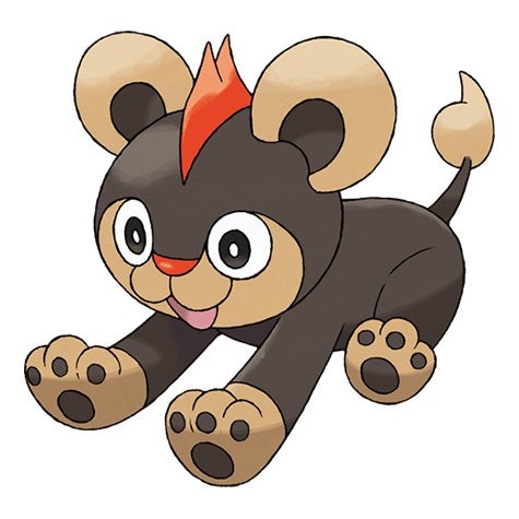 Litleo Pokémon hệ Lửa/Thường Gen 6 trong Pokémon Go