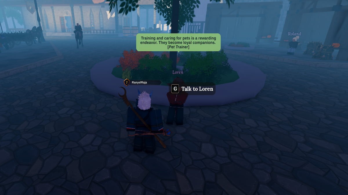 Loren - NPC giao nhiệm vụ tăng kết nối tinh thần với thú cưng tại Virdis Town, Devas of Creation