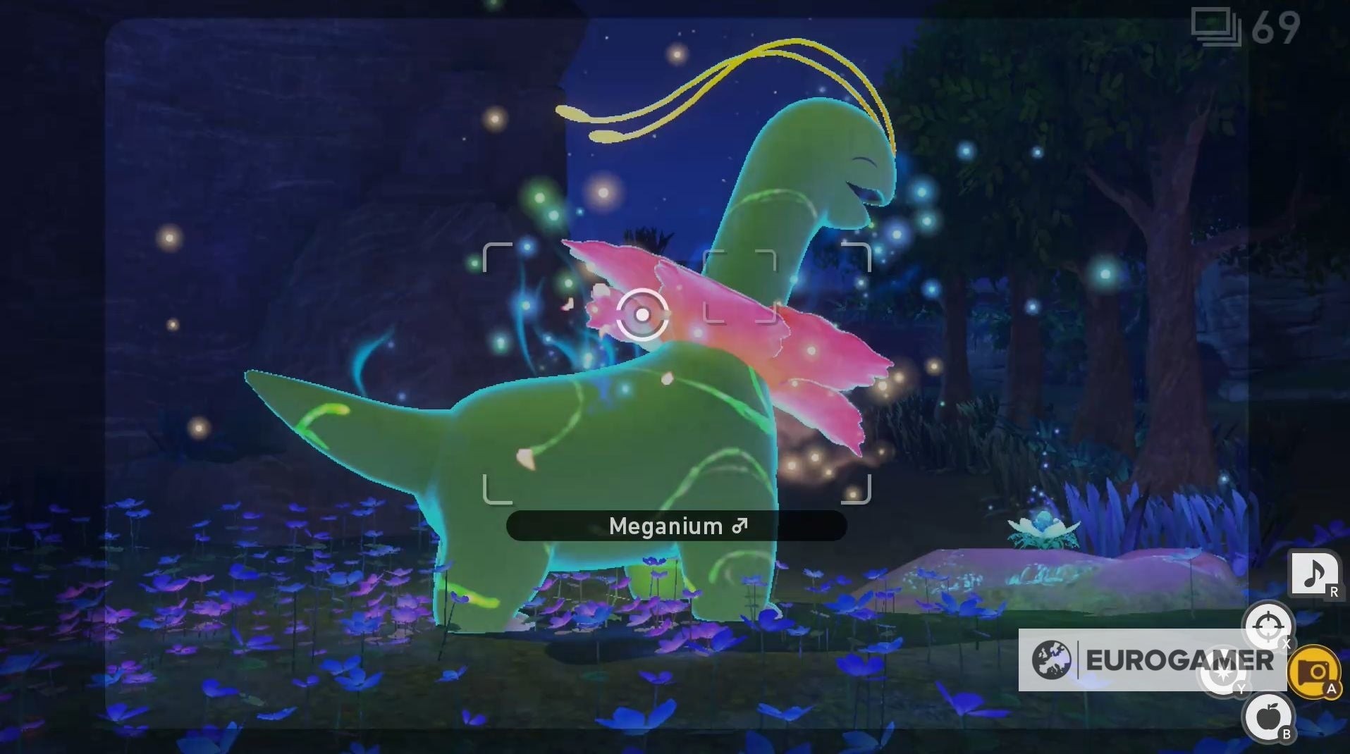 Meganium Illumina trong Công Viên Thiên Nhiên Florio