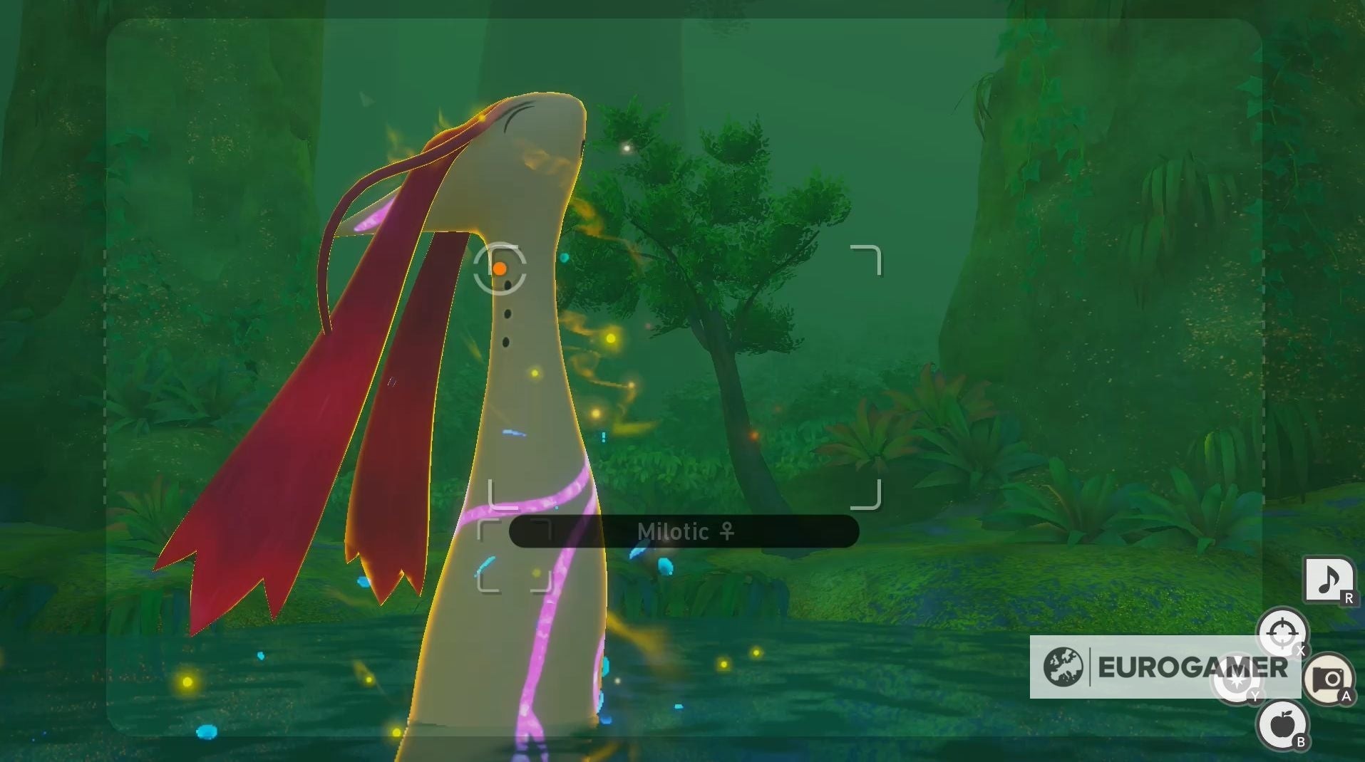 Milotic nổi lên mặt nước