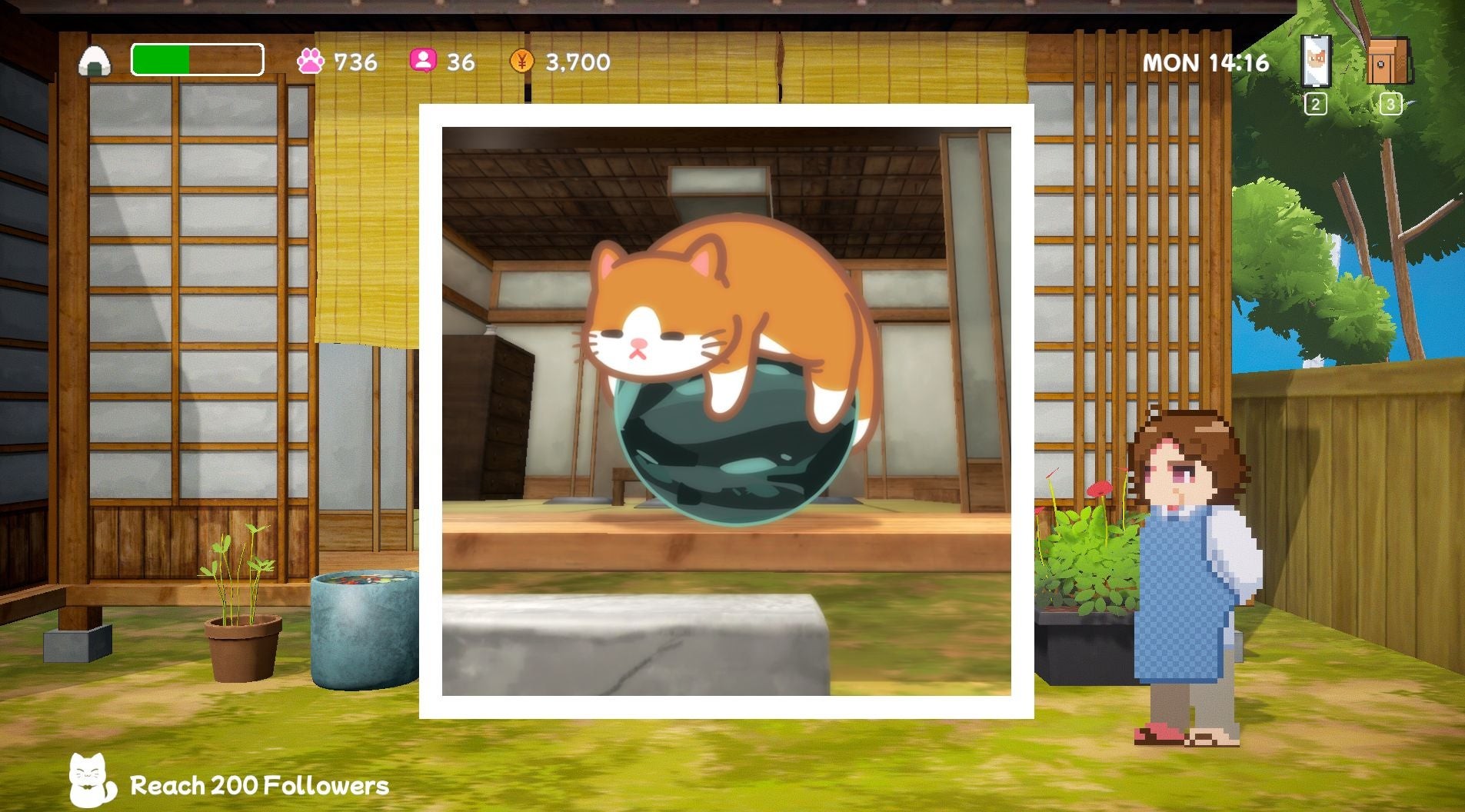 Một bức ảnh chụp mèo trên một quả bóng lớn trong Neko Odyssey