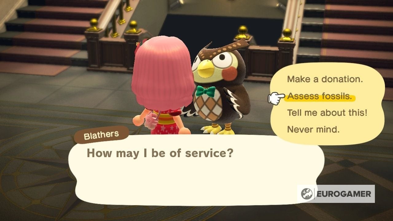Người chơi đang nói chuyện với Blathers trong Bảo tàng để chuẩn bị giám định hóa thạch Animal Crossing