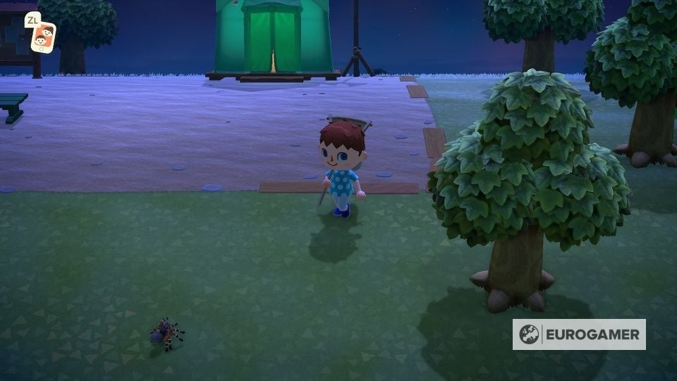 Người chơi đang rón rén tiếp cận nhện Tarantula trong Animal Crossing New Horizons bằng vợt