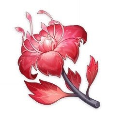 Nguyên liệu Huyết Đan San Hô (Dendrobium) đặc sản Inazuma dùng để đột phá Chiori