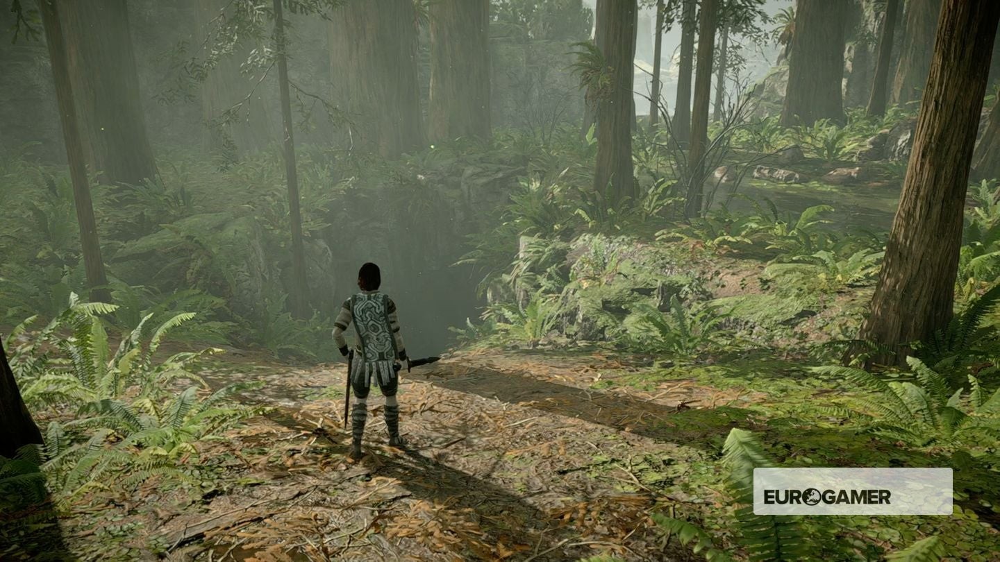 Nhân vật chuẩn bị bước vào cửa hang động tối tăm trong Shadow of the Colossus