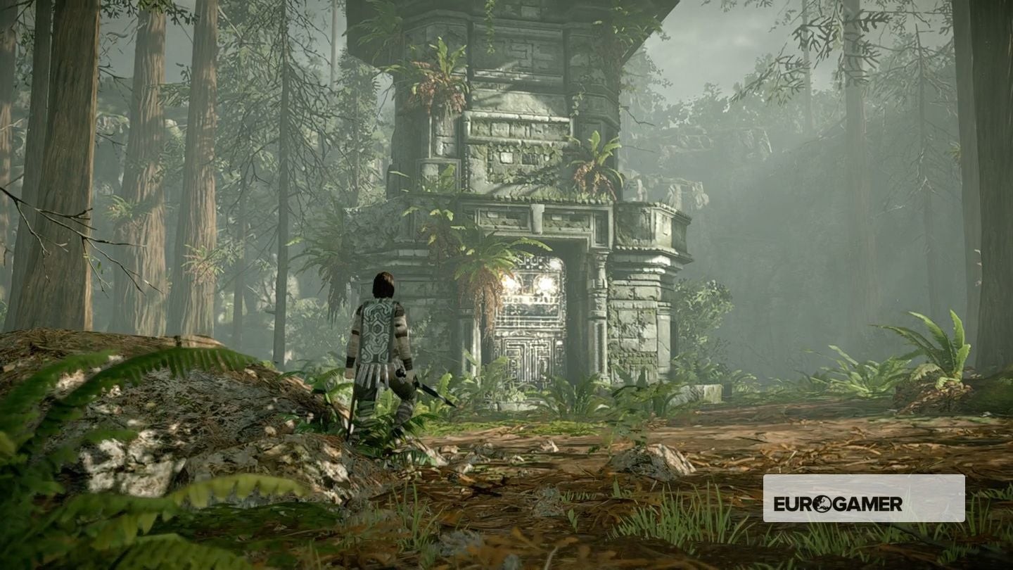 Nhân vật tiếp tục hành trình qua con suối trong rừng Shadow of the Colossus