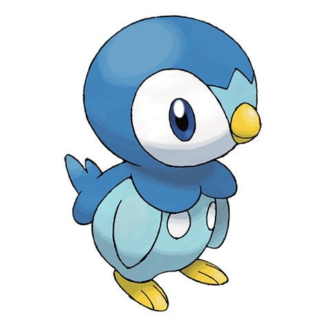 Piplup - Pokémon khởi đầu hệ Nước Gen 4 đáng yêu trong Pokémon Go