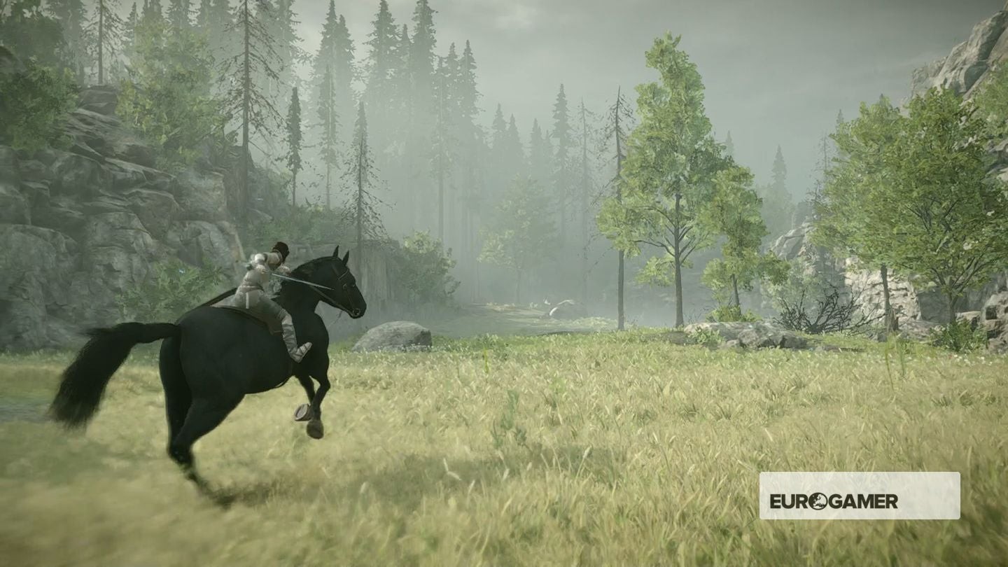 Tàn tích ẩn mình giữa rừng cây trong Shadow of the Colossus