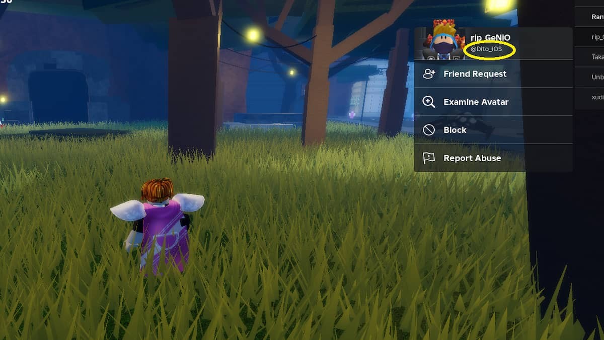 Tên người chơi trên server trong Sakura Stand