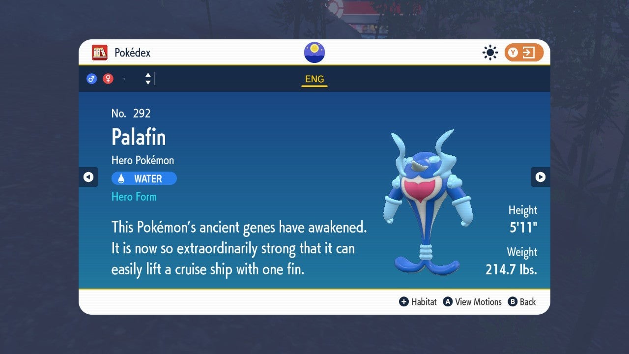 Thông tin Pokédex mặt sau của Palafin Dạng Anh Hùng trong Pokémon Scarlet Violet