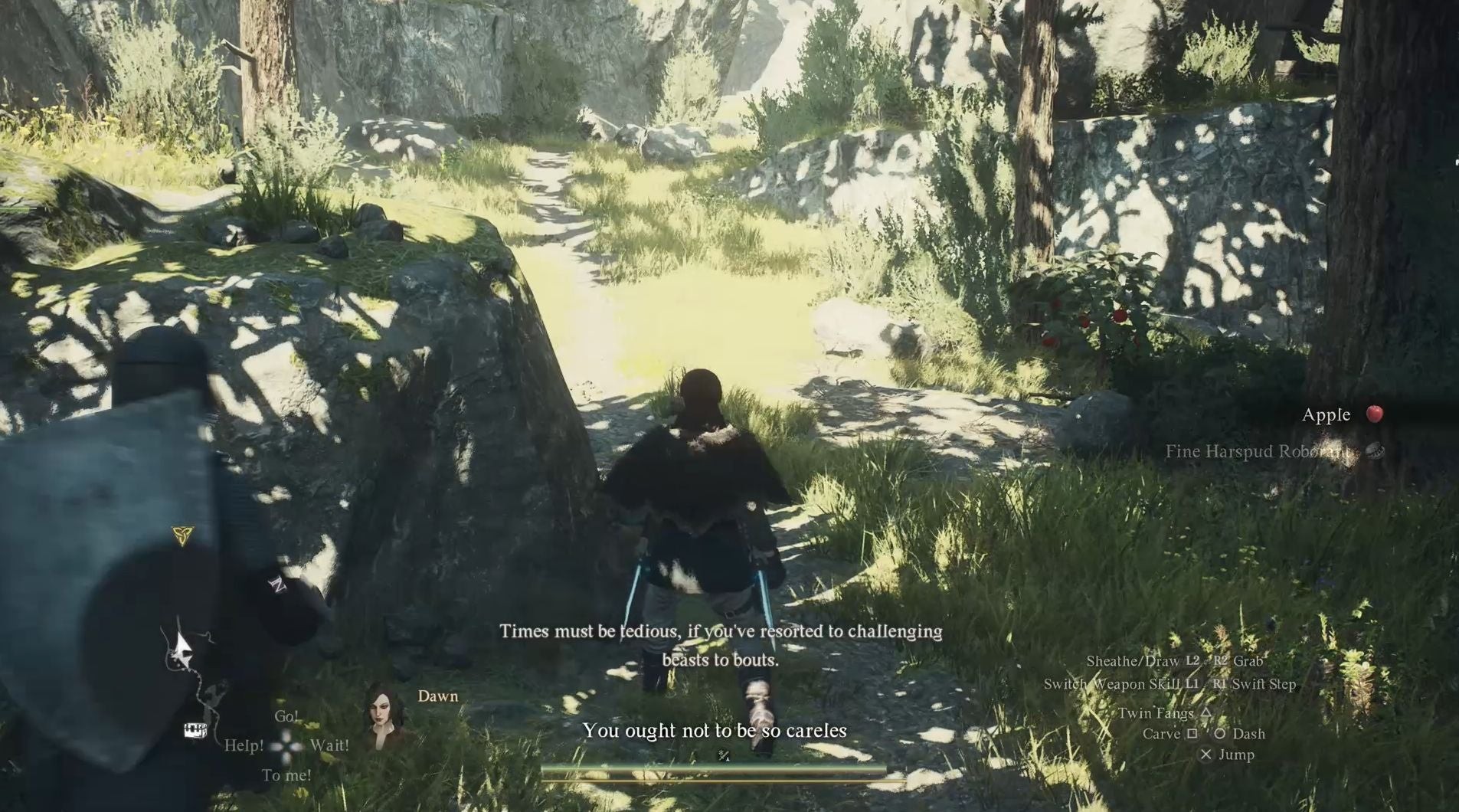 Tiếp tục đi theo con đường bên trái để đến Mỏ Trevo trong Dragon's Dogma 2