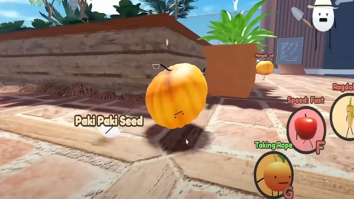 Trứng nông dân Farmer Egg được trồng trong chậu tại Secret Staycation