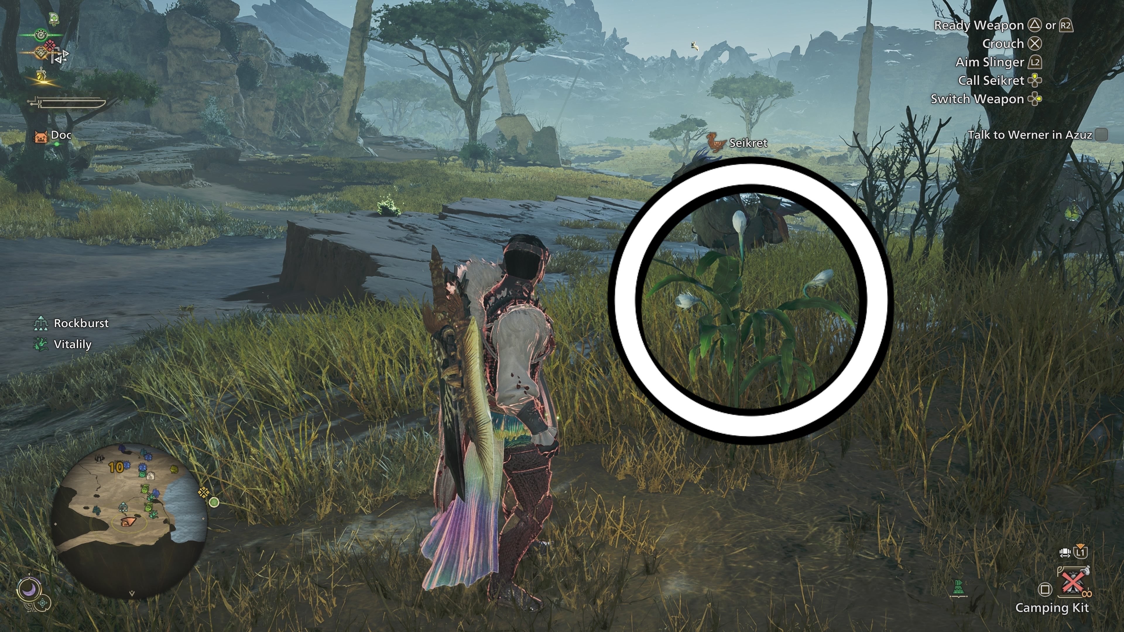 Vị trí Hoa Dạ Quang chứa Phấn Dạ Hoa tại khu vực 10 Đồng Bằng Gió Lộng trong Monster Hunter Wilds
