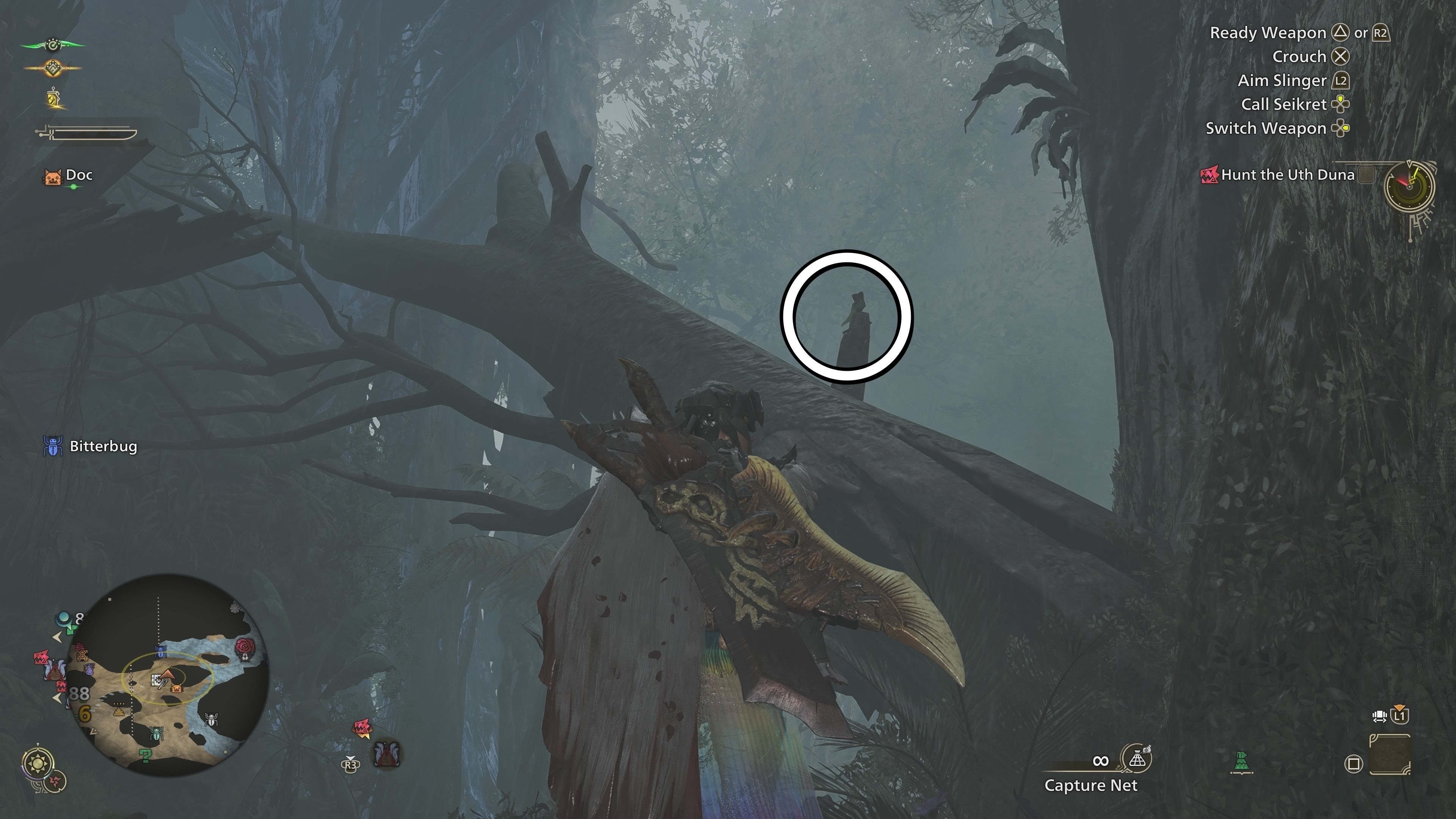 Vòng tròn chỉ vị trí Dapperwing đậu trên thân cây lớn gần Khu vực 6 và 3 trong Monster Hunter Wilds
